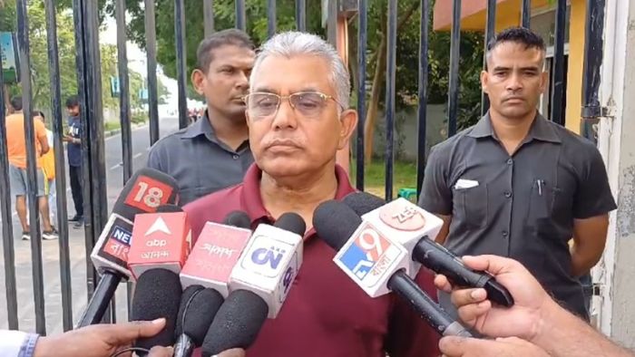 'হাতি কাদায় পড়লে ব্যাঙেও লাথি মারে', মোদী-শাহকে কি কটাক্ষ দিলীপের?