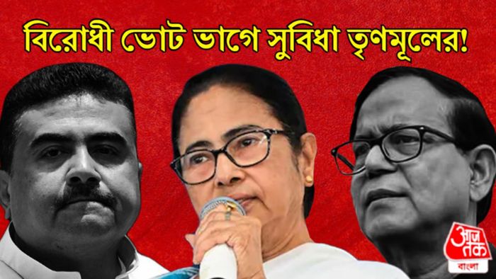 লোকসভা নির্বাচনের ফল ২০২৪