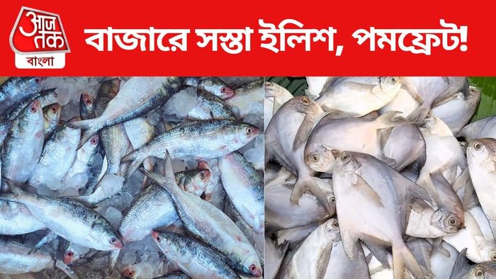 Hilsa Fish Price