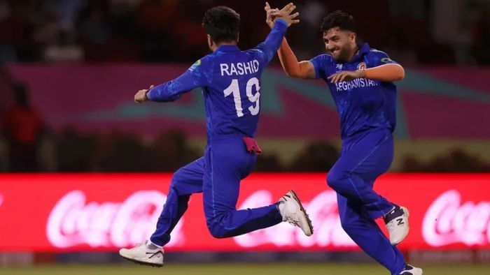 afghanistan vs new zealand