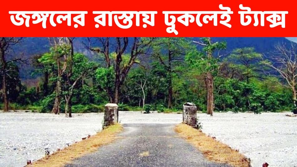 ডুয়ার্সের জঙ্গলের রাস্তাতেও এবার থেকে টোল ট্যাক্স, কোথায়? ডুয়ার্সের জঙ্গলের রাস্তাতেও এবার থেকে টোল ট্যাক্স, কোথায়?