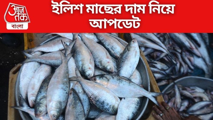 Hilsa price