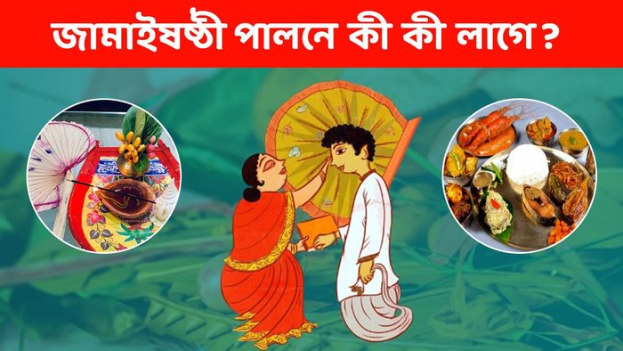 জামাইষষ্ঠী ২০২৪