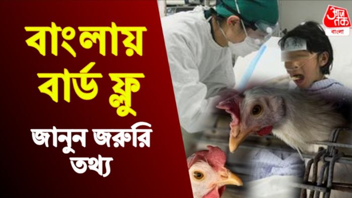 বাংলায় বার্ড ফ্লু- প্রতীকী ছবি