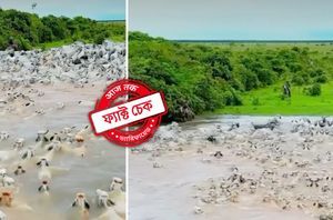 Facebook Users Facebook Users