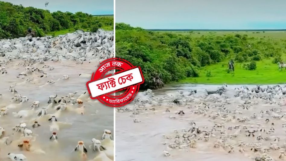 ফ্যাক্ট চেক: বকরি ইদের আগে ভারত থেকে বাংলাদেশে গরু পাচার? ভাইরাল ভিডিয়োর সত্যতা জানুন ফ্যাক্ট চেক: বকরি ইদের আগে ভারত থেকে বাংলাদেশে গরু পাচার? ভাইরাল ভিডিয়োর সত্যতা জানুন