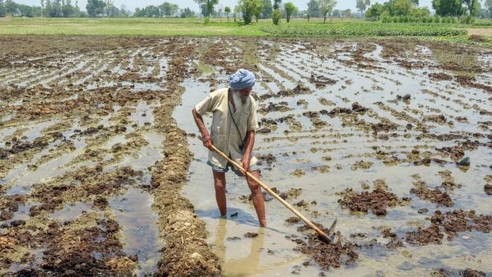 কৃষকদের জন্য নয়া ঘোষণা।