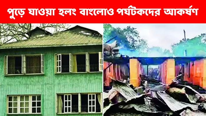 ভস্মীভূত হলং বাংলো দেখতেও ভিড় পর্যটকদের, অগ্নিকাণ্ডের কারণ খুঁজতে তদন্ত কমিটি