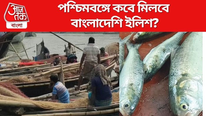 এপারে কবে মিলবে বাংলাদেশি ইলিশ?
