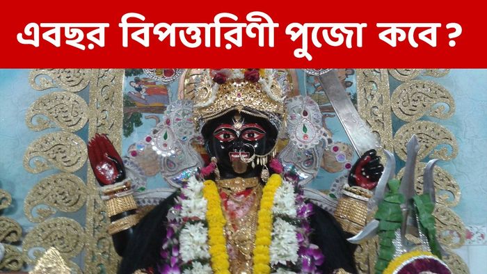 বিপত্তারিণী পুজো ২০২৪