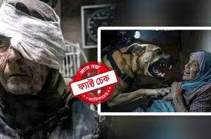 Social Media Users Social Media Users