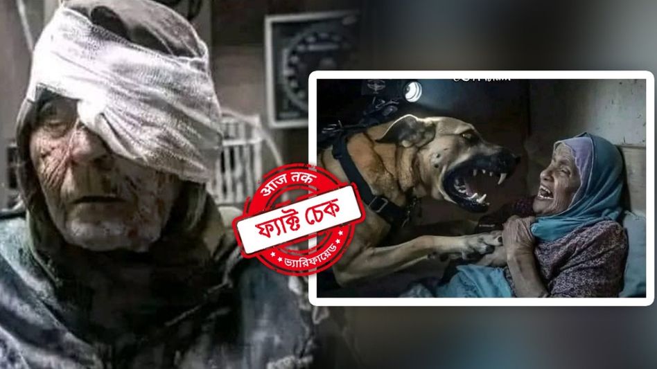 ফ্যাক্ট চেক: এই দু'টি ছবি কি কুকুরের হামলায় আহত ফিলিস্তিনি বৃদ্ধার? জানুন আসল ঘটনা ফ্যাক্ট চেক: এই দু'টি ছবি কি কুকুরের হামলায় আহত ফিলিস্তিনি বৃদ্ধার? জানুন আসল ঘটনা