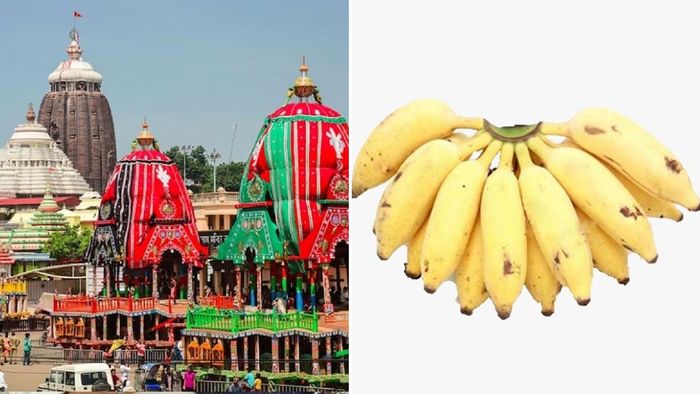 'রথ দেখা, কলা বেচা,' এই প্রবাদটি কীভাবে এল জানেন? ভীষণ মজার গল্প