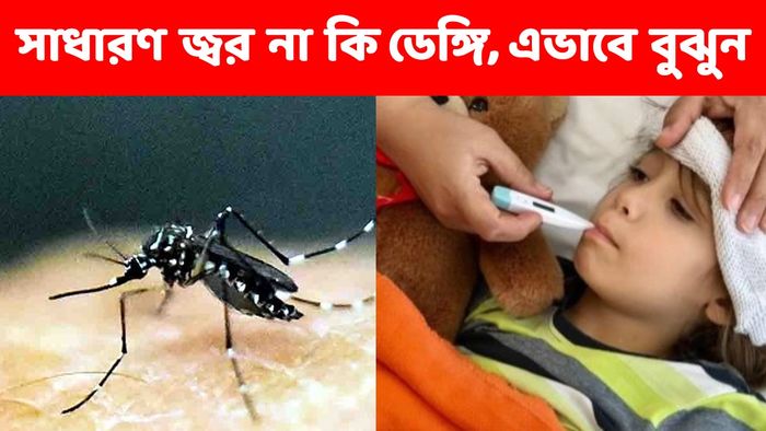 সাধারণ জ্বর না ডেঙ্গি? এই লক্ষণগুলি দেখেই বুঝে নিন