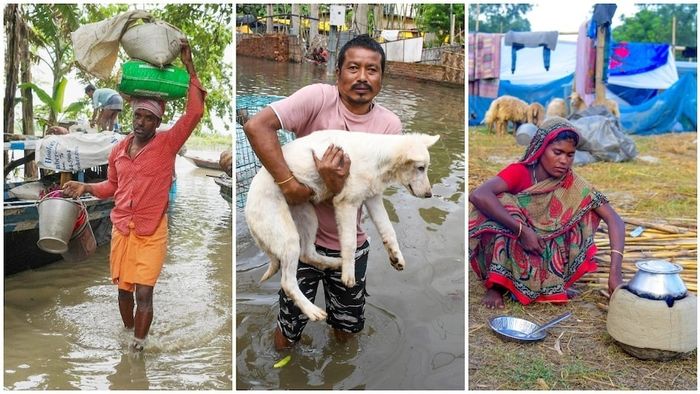 ফের সেবকে জাতীয় সড়কে ধস, অসমে বন্যা পরিস্থিতি ভয়াবহ