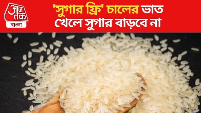 বাংলার বাজারে আসছে সস্তায় 'সুগার ফ্রি' চাল, রাজ্য সরকারের উদ্যোগ