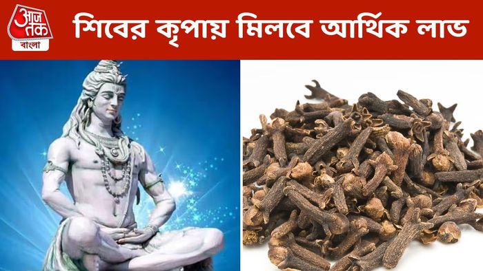 আর্থিক বাধা কাটাতে শ্রাবণে করুন লবঙ্গের উপায়, শিবের আশীর্বাদ মেলে
