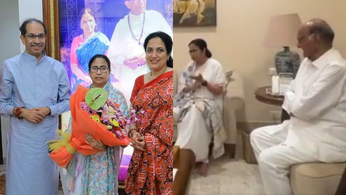 উদ্ধব-শরদ সাক্ষাতেও মোদী সরকারকে বিঁধলেন মমতা