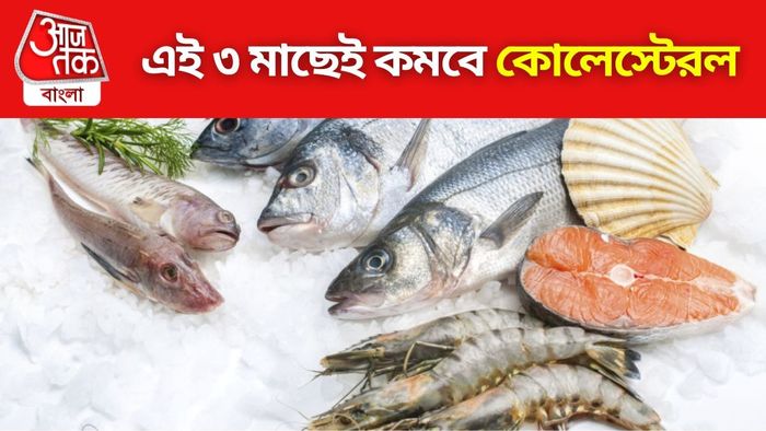 কোলেস্টেরল নিয়ন্ত্রণে রাখবে ৩ মাছ