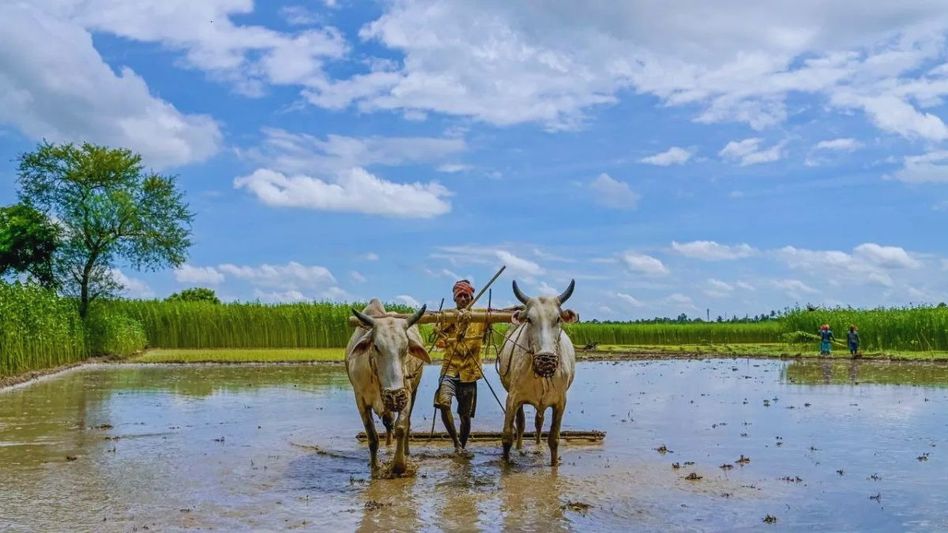 দক্ষিণবঙ্গের জেলাগুলিতে ভ্যাপসা গরমের পূর্বাভাস, বাড়বে তাপমাত্রাও দক্ষিণবঙ্গের জেলাগুলিতে ভ্যাপসা গরমের পূর্বাভাস, বাড়বে তাপমাত্রাও
