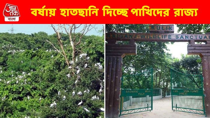 এখানকার পরিযায়ীরা আসে ঘোর বর্ষাতেই, সস্তায় ঘোরার দারুণ সুযোগ