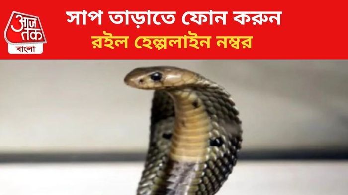 সাপ উদ্ধারের জন্য হেল্পলাইন নম্বর রয়েছে, জানুন।