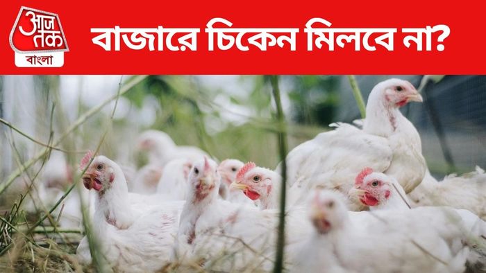 west bengal chicken supply