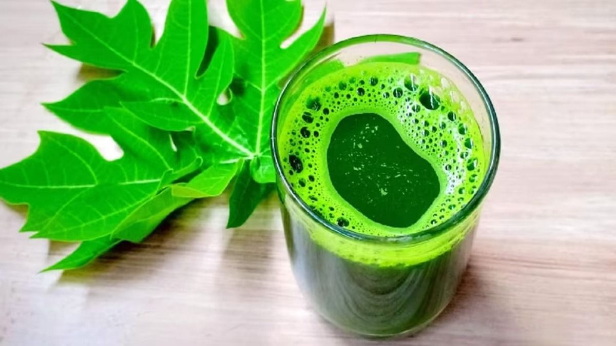 পেঁপে পাতার রস বানানোর পদ্ধতি  