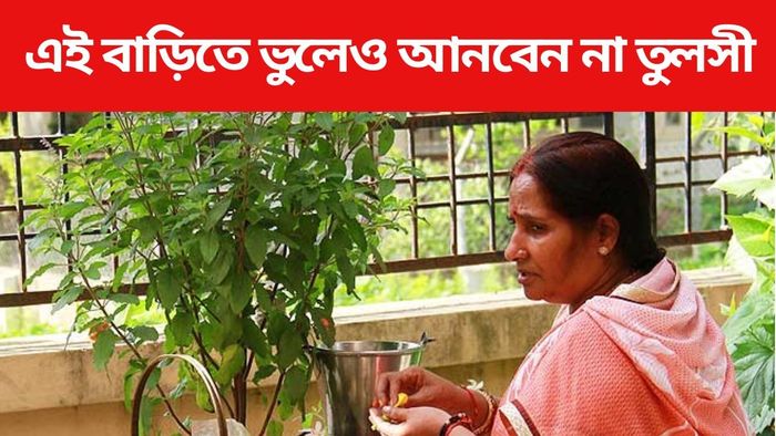 তুলসী গাছের বাস্তু টিপস