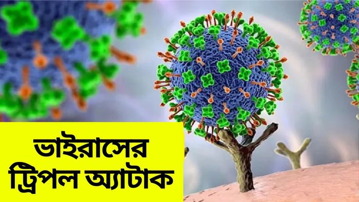 nipah zika and chandipura virus