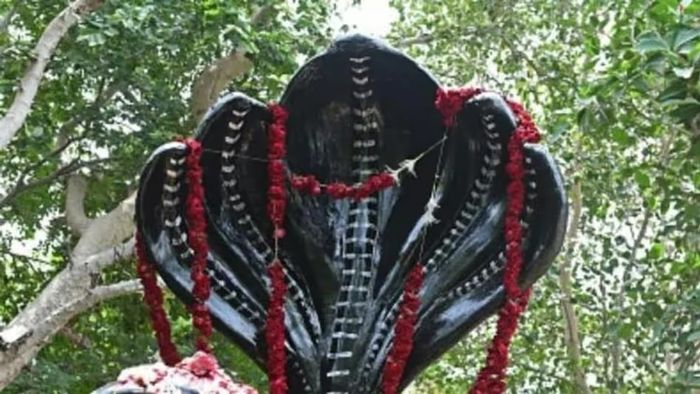 নাগপঞ্চমীতে ভুলেও করবেন না এই কাজ, দুর্ভোগ পিছু ছাড়বে না