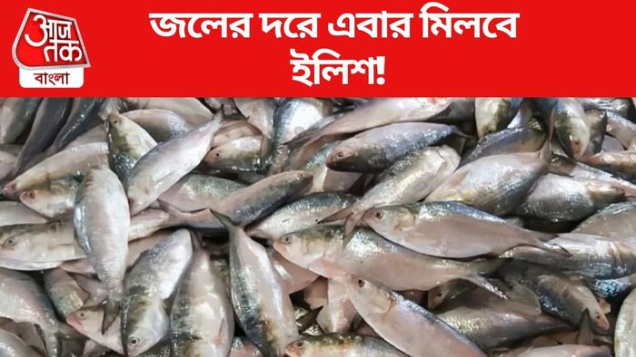 জলের দরে এবার মিলবে ইলিশ