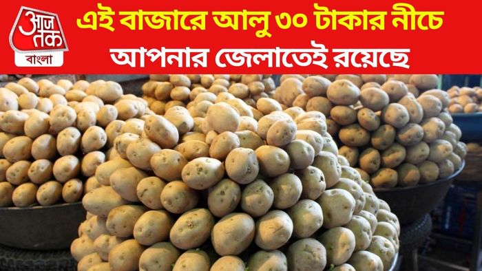 আলু (ফাইল ছবি)