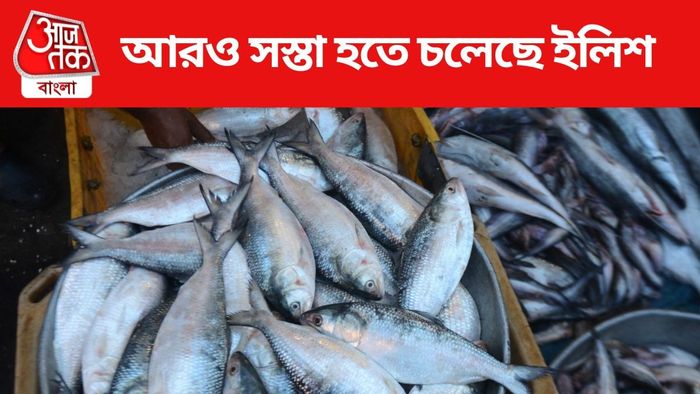 Hilsa Price