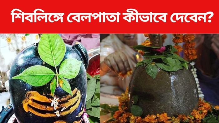 শিবলিঙ্গে বেলপাতা দেবের কীভাবে?
