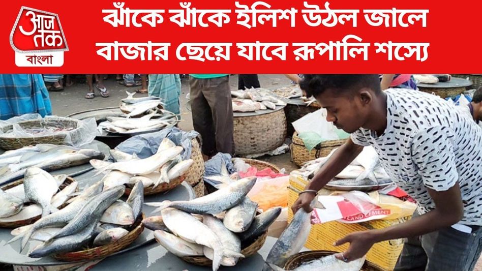 রেকর্ড উৎপাদন, এবার কি রাজ্যের বাজারে মিলবে সস্তায় পদ্মার ইলিশ? রেকর্ড উৎপাদন, এবার কি রাজ্যের বাজারে মিলবে সস্তায় পদ্মার ইলিশ?