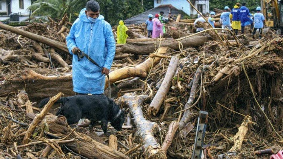 ওয়েনাডে মৃতের সংখ্যা ছাড়াল ৩৫০, নিখোঁজদের খোঁজে স্নিফার ডগ-ড্রোন ওয়েনাডে মৃতের সংখ্যা ছাড়াল ৩৫০, নিখোঁজদের খোঁজে স্নিফার ডগ-ড্রোন