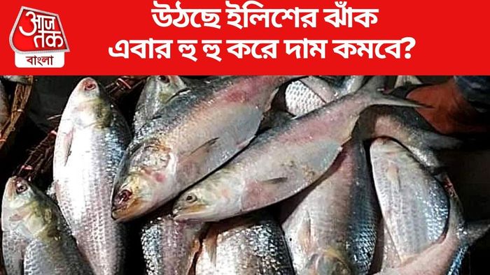 এবার হু হু করে দাম কমবে?