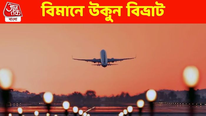 তাজ্জব! যাত্রীর মাথায় উকুন, মাঝ আকাশ থেকে ইমারজেন্সি ল্যান্ডিং করা হল বিমান