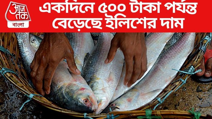 একদিনে ৫০০ টাকা পর্যন্ত বেড়েছে ইলিশের দাম