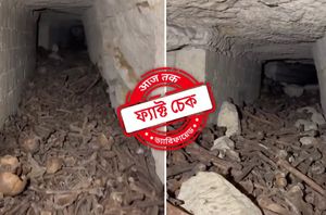 Facebook Users Facebook Users