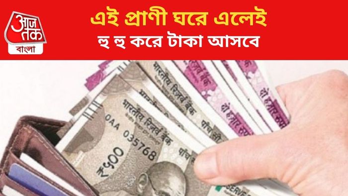 এই প্রাণী ঘরে এলেই টাকা আসবে।