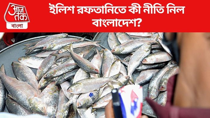 ইলিশ রফতানিতে কী নীতি নিল বাংলাদেশ?