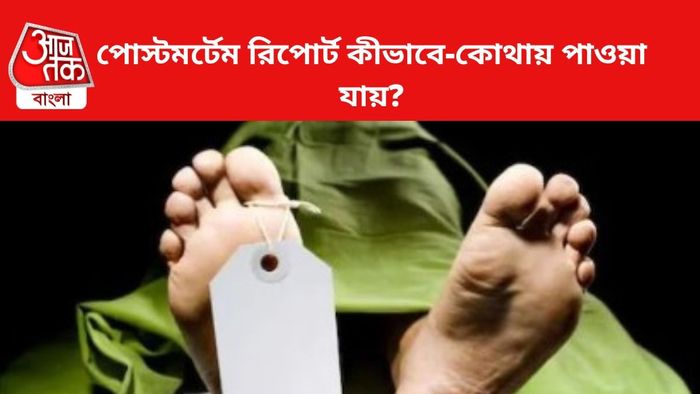 প্রতীকী চিত্র।