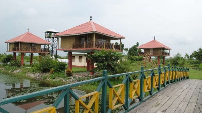 পুজোয় বনবাংলোয় রাত্রিযাপনে ধাক্কা, ডুয়ার্সের এই ফরেস্টে বুকিং বন্ধ