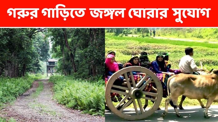 গরুর গাড়িতে জঙ্গল সাফারি, শিদল-ঢেঁকি-বাঁশের সবজি, পুজোয় ডাকছে ডুয়ার্স
