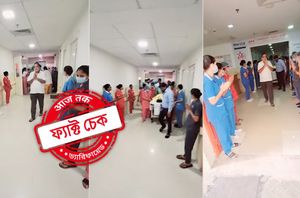 social media users social media users