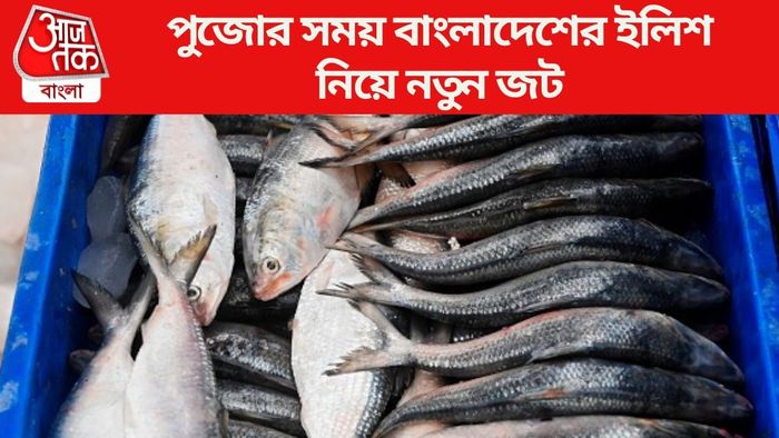পুজোর সময় বাংলাদেশের ইলিশ নিয়ে নতুন জট