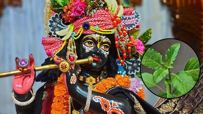 জন্মাষ্টমী ২০২৪