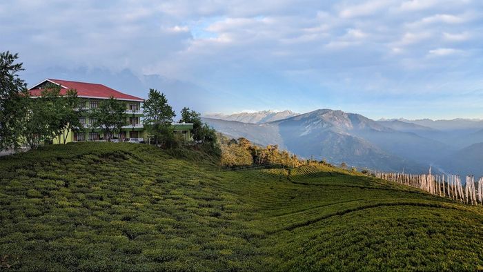 পাহাড়ের মাঝে চা বাগানেই থাকা-খাওয়া, কীভাবে যাবেন? খরচ কত?